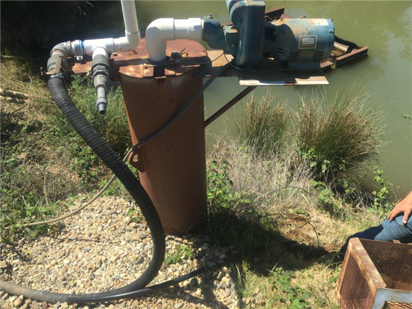 STA-RITE 2" Suction Pump